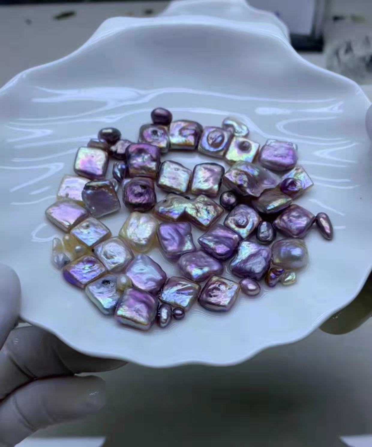 13.『Live』Square FRESH WATER Pearls Oyster (2pcs)(normal,big)