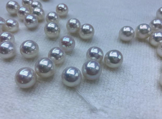 18.【Live Clams】Snow white Eddison Pearls Oyster 12mm+