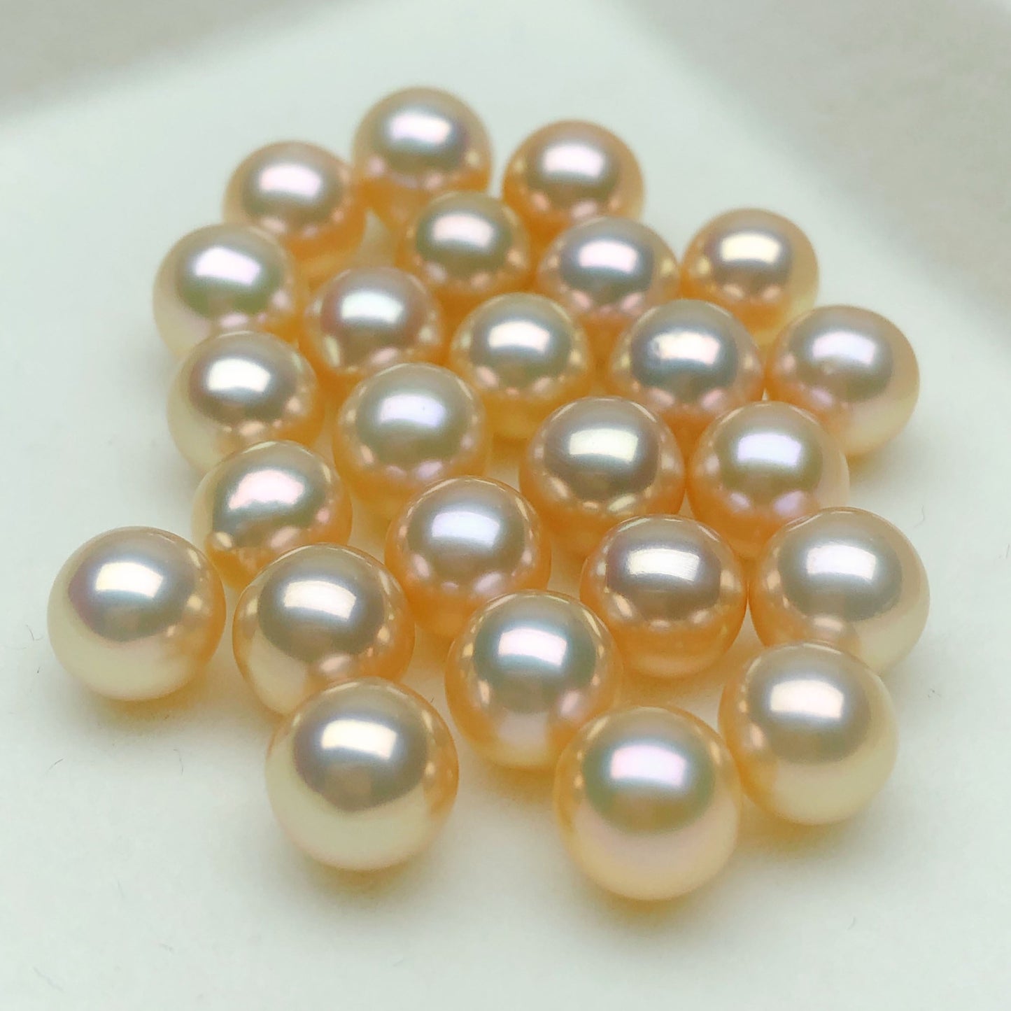 7.【Live】 normal Pearls. One oyster with 20-30pcs pearls