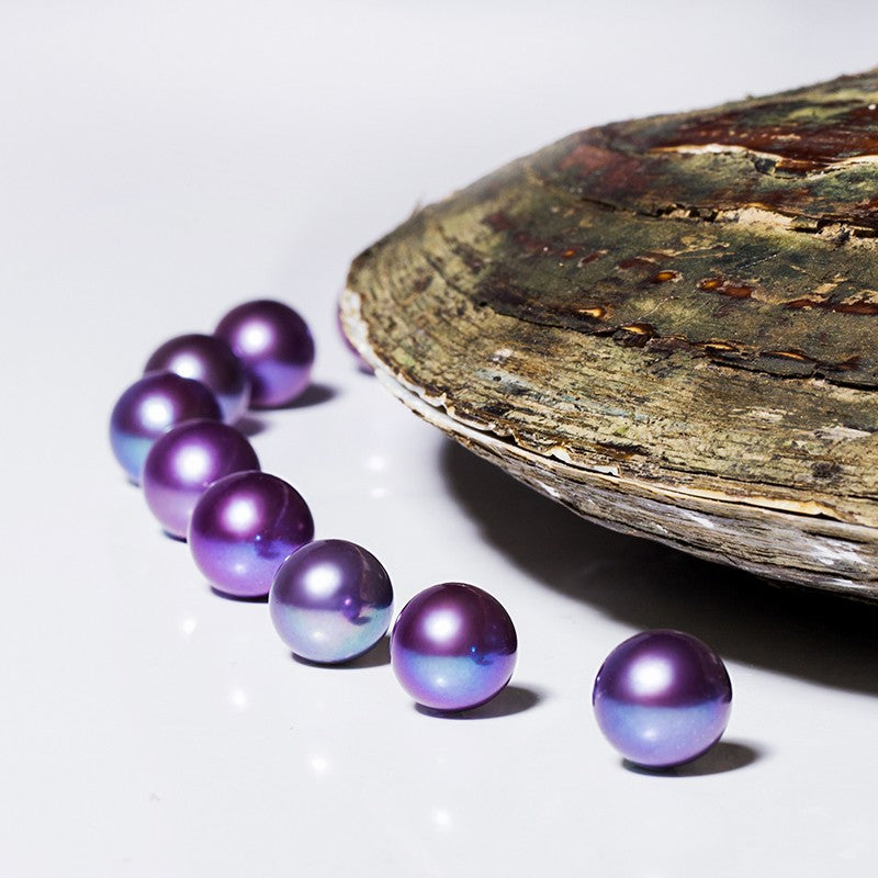 6.【Live Clams】Eddison Pearls Oyster