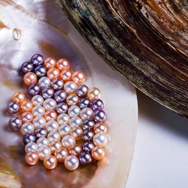 7.【Live】 normal Pearls. One oyster with 20-30pcs pearls