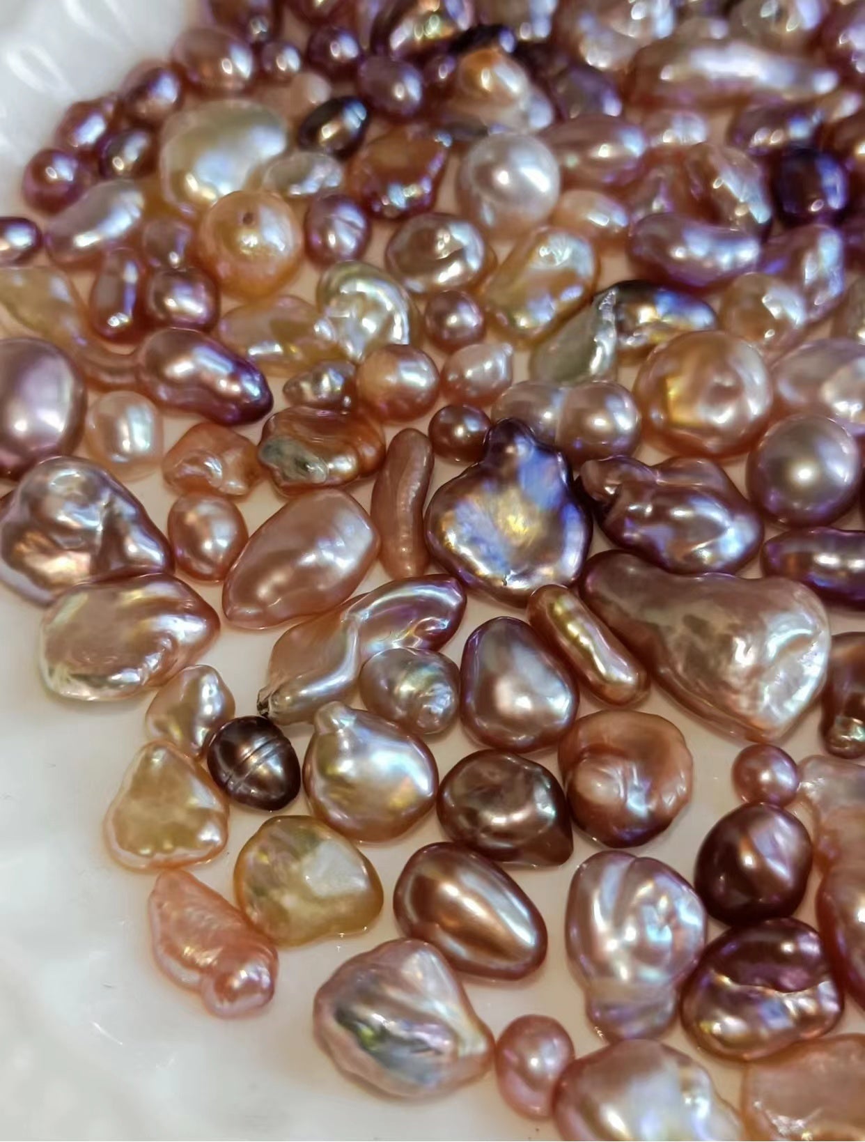 9.【Live】  FLORAL FRESH WATER Pearls Oyster